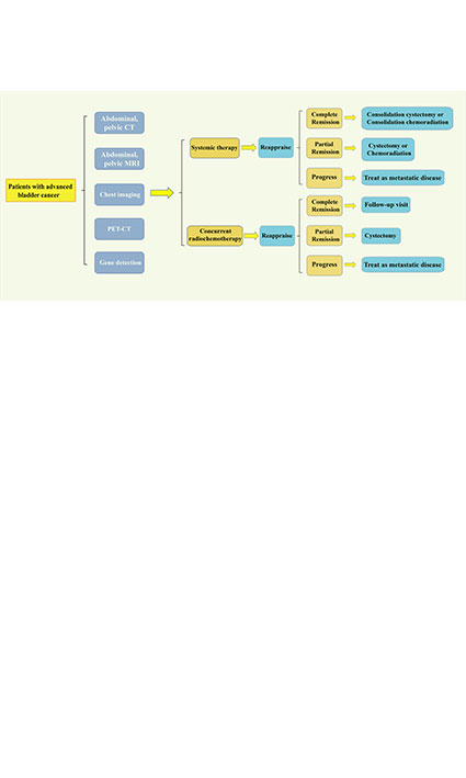 Research Progress of Neoadjuvant Chemotherapy in Advanced Bladder Cancer