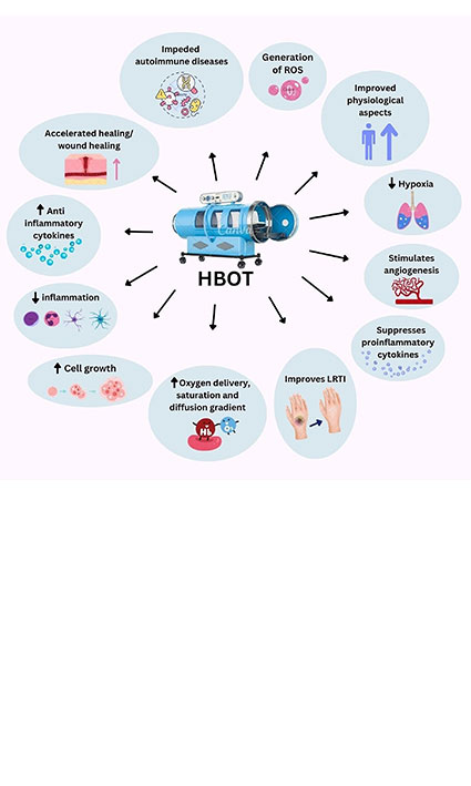 Role of Hyperbaric Oxygen Therapy in Prostate Tumor Microenvironment and Cancer Stem Cell Niche