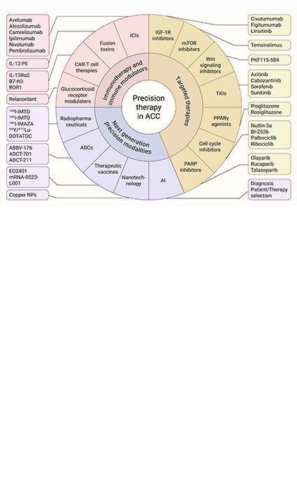 Evolving Precision Therapy Paradigm against Adrenocortical Carcinoma